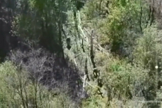 New Ukrainian Kursk assault repelled - Chechen leader (VIDEO)