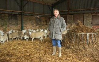 Sheep special: EasyCare sheep add value to mixed farming business