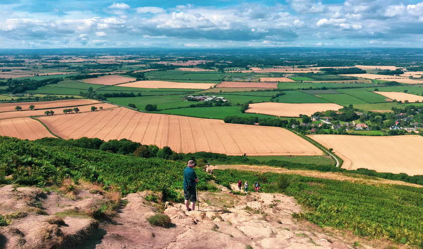 © TorTorMedia / shutterstock