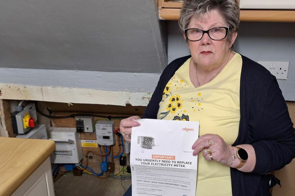 Pensioner hit with 700 repair bill after being 'forced' to install smart meter
