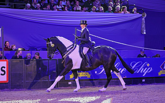Another HOYS supreme for Jayne Ross