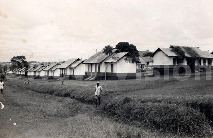 agurustate back then 
