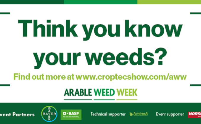 Arable Weed Week to shine a light on the future of sustainable weed management