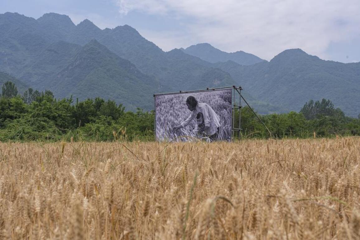 Farmers' paintings illustrate progress of rural China