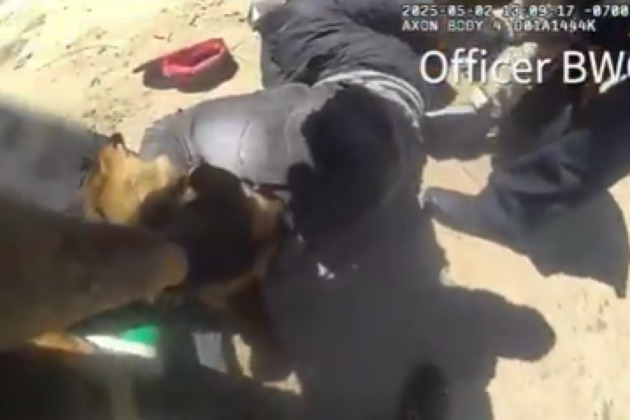 BWC- Man hits Calif. PD K-9 with gun before OIS