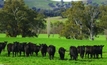 Genomics leads to more productive cattle