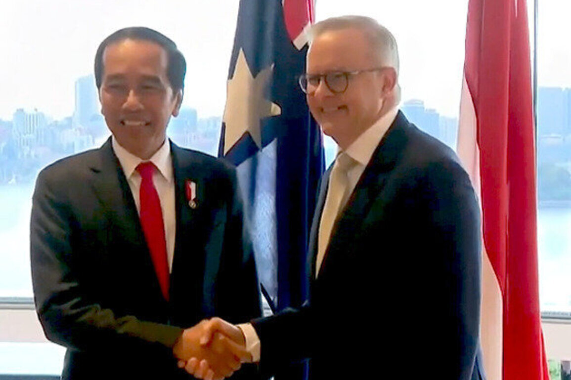 The Australia-Indonesia green economic opportunity