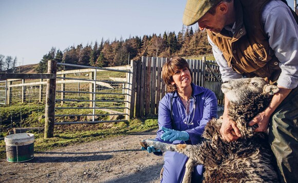 Why working closely with your vet makes more financial sense than ever