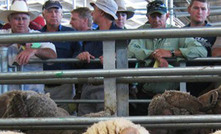 Sale of Muchea saleyard non-negotiable