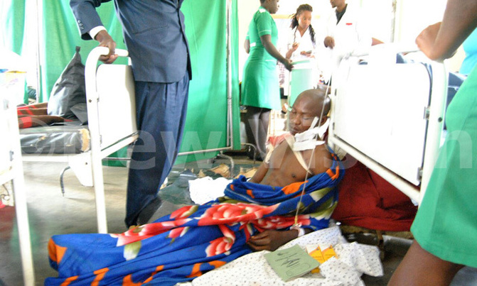 Stray lion attacks two people in Kyenjojo Stray lion attacks two people in Kyenjojo