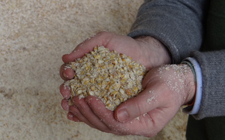 How crimped maize has earned its place on a Hertfordshire farm