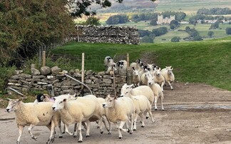 Forage for CH4nge project reveals interesting findings