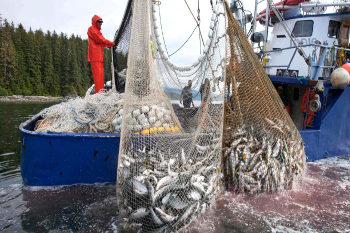 Trump allows commercial fishing in New England marine monument