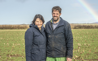 Cornwall mixed farm achieves net zero after regenerative farming switch