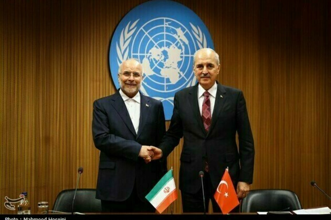 Irans Parliament Speaker Urges Muslim Unity against US, Israel