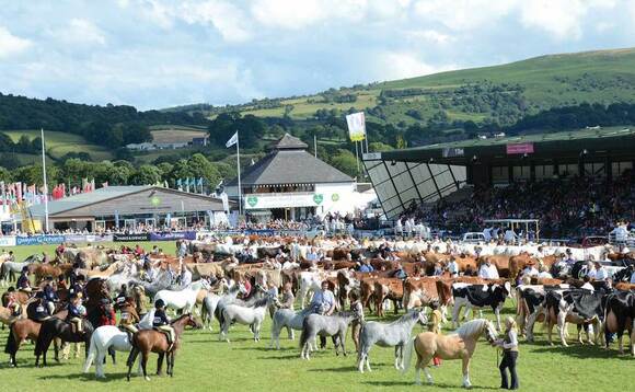 Royal Welsh show will not go ahead in 2021