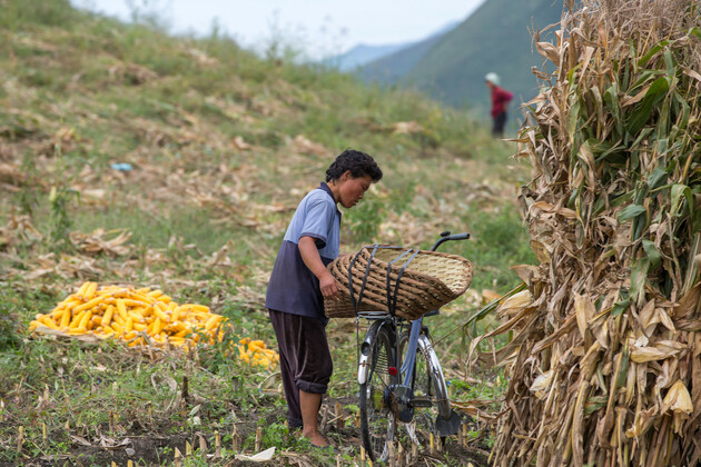 North Korea enjoying favorable start to agricultural season- UN report