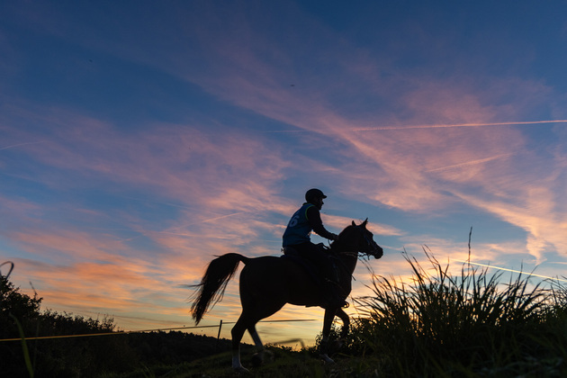 (SP)CROATIA-BARBAN-HORSE RIDING-BALKAN ENDURANCE RIDING CHAMPIONSHIP