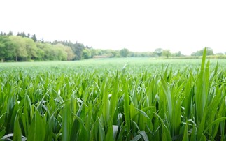 Oxbury Bank offers free soil carbon report for every loan customer