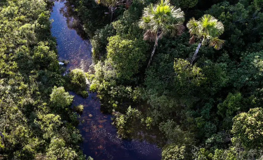 Parque Nacional da Chapada dos Veadeiros Goiás GO APA