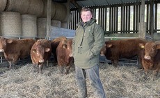 Young Farmer Focus: James Warwick - 'It is tough being a young person in farming'