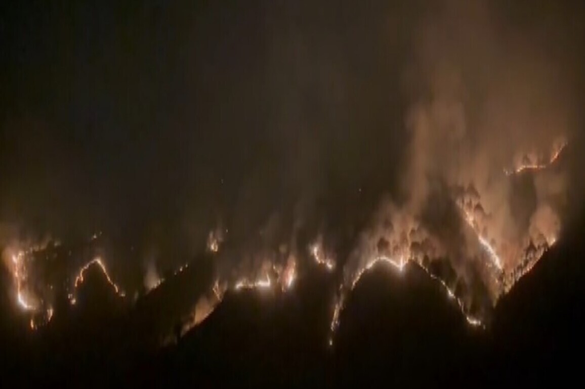 Massive forest fire breaks out in Himachal's Solan district