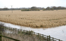 Cereals Live: Top tips on climate proofing your soil