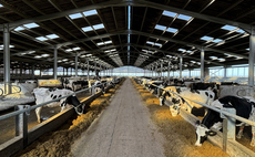 Heat stress in dairy cows: Lessons from a Cumbrian dairy farm