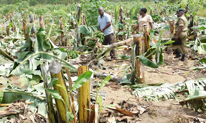 Police opens probe into Lukaya land wrangles Police opens probe into Lukaya land wrangles