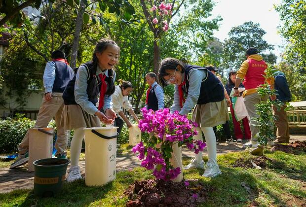 In pics: Tree planting activity is held in SW China's Kunming