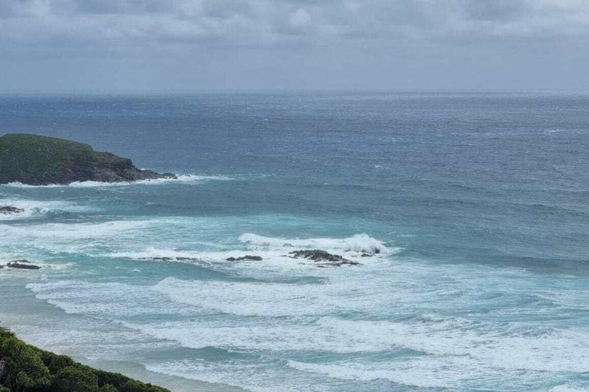 Boy, 9, dies after getting trapped in rocks at beach in South West Rocks, NSW