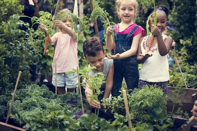 How gardening at school can tackle child obesity
