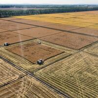 Smart agritech machinery drives China's push toward modern agriculture