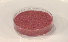Australia cultured meat start-up gets $49m Series A