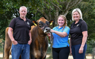 UK Dairy Day Jersey judge looks for balance and breed character
