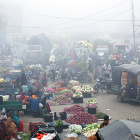 LPG, tomato prices push up vegetarian and non-vegetarian thali costs in April: Crisil