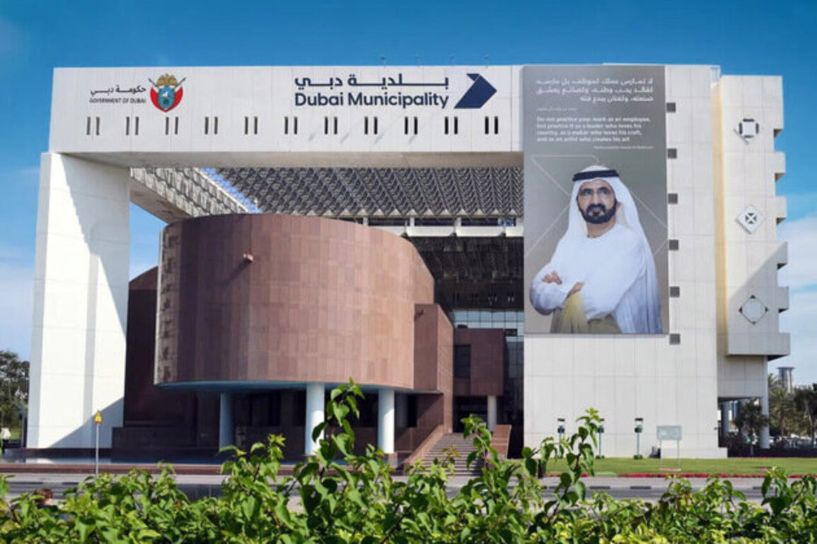 Dubai Municipality, KHDA launch initiative to plant 20,000 trees