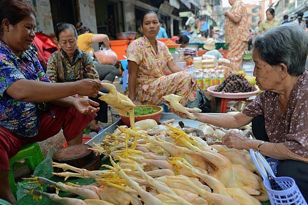 Cambodia's Health Ministry Cautions Public About Latest 'Bird Flu' Strain