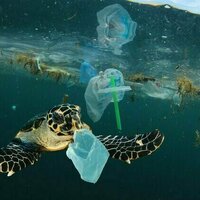 Mengapa target 70% pengurangan sampah plastik laut pada 2025 sulit tercapai?