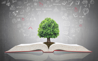 Carbon Literacy Project passes 150,000 certificate milestone 