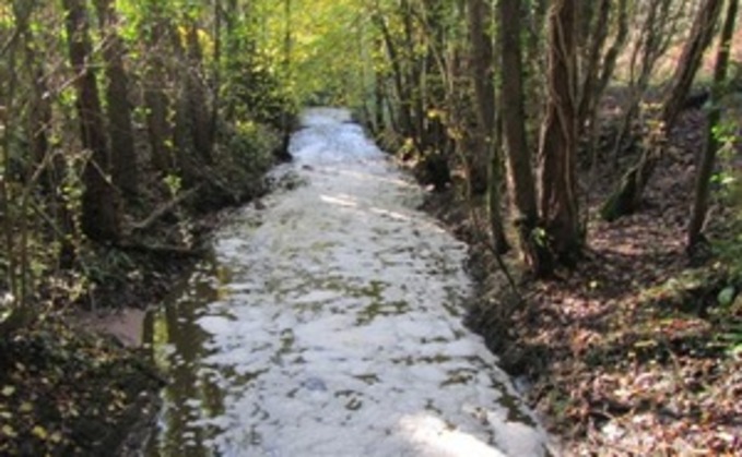 Slurry pollution in the Ribble Valley's Tun Brook. Credit: Environment Agency