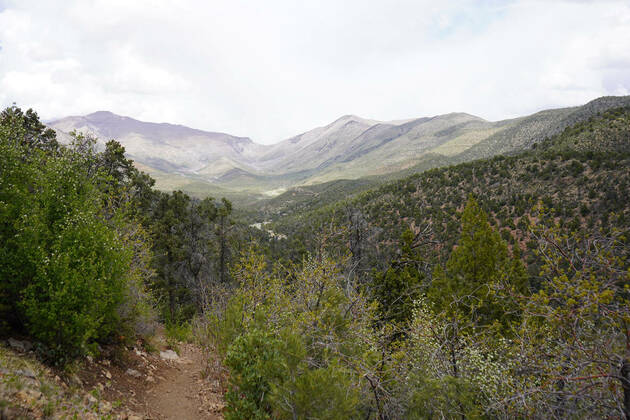 Las Vegas-area hike offers climb to cooler clime - Live Well