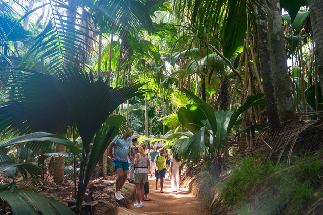 SEYCHELLES-PRASLIN ISLAND-VALLEE DE MAI