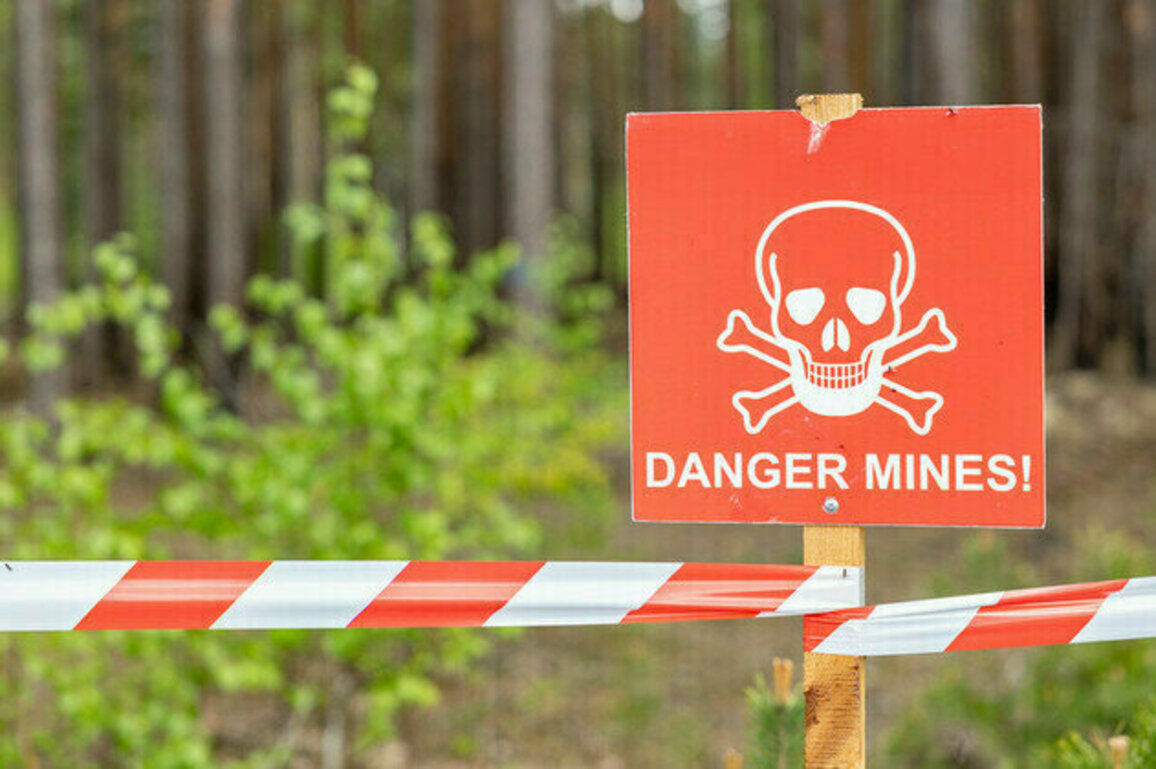 Another NATO member pulls out of landmine treaty