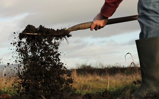 Study: UK soil carbon storage levels may be significantly underestimated