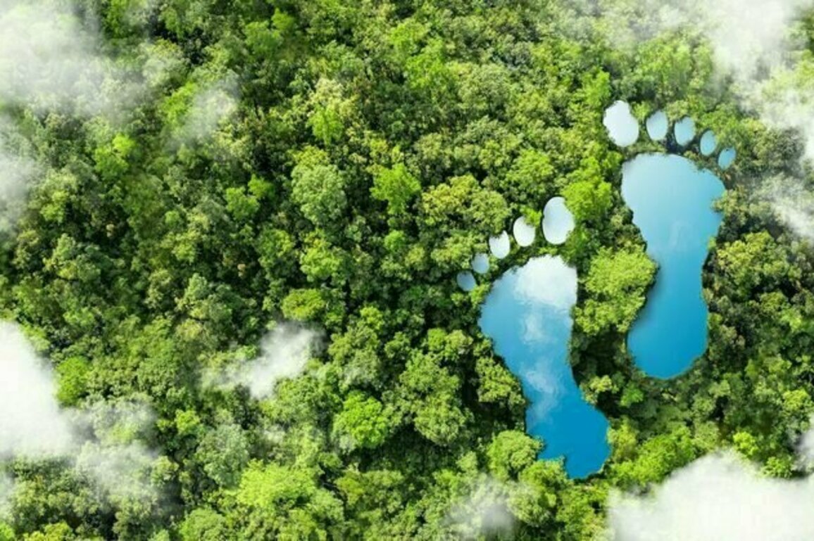 Riset: Pulau Jawa produsen sekaligus konsumen jejak emisi terbesar di Indonesia