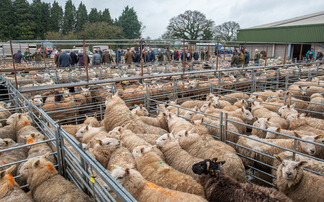 OPINION: Stepping into the rostrum made clear that the job is best left to the professionals