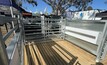 The Ram-to-Ewe automated catching pen by Flinn Design won the Machine of the Year Award at Henty Field Days this week. Photo: Mark Saunders.