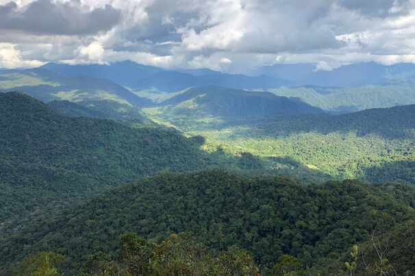  Warintza in Ecuador