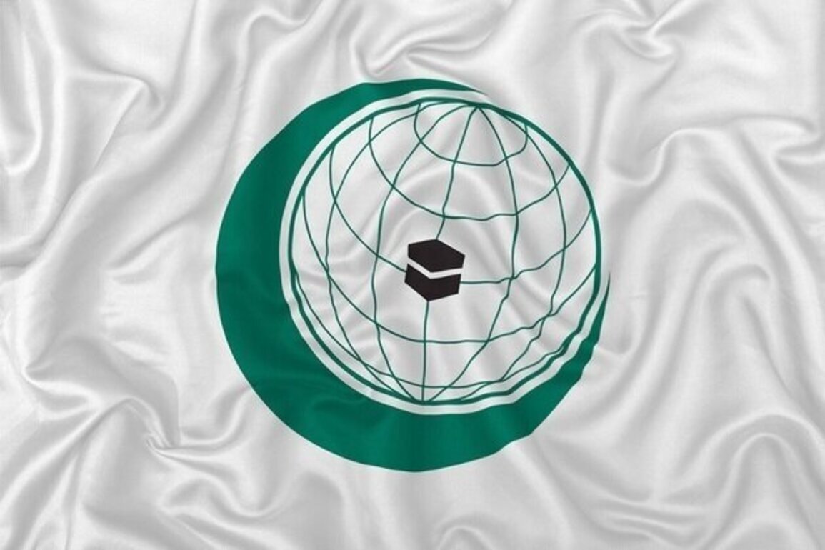 Israels Hidden Role in the Organisation of Islamic Cooperation